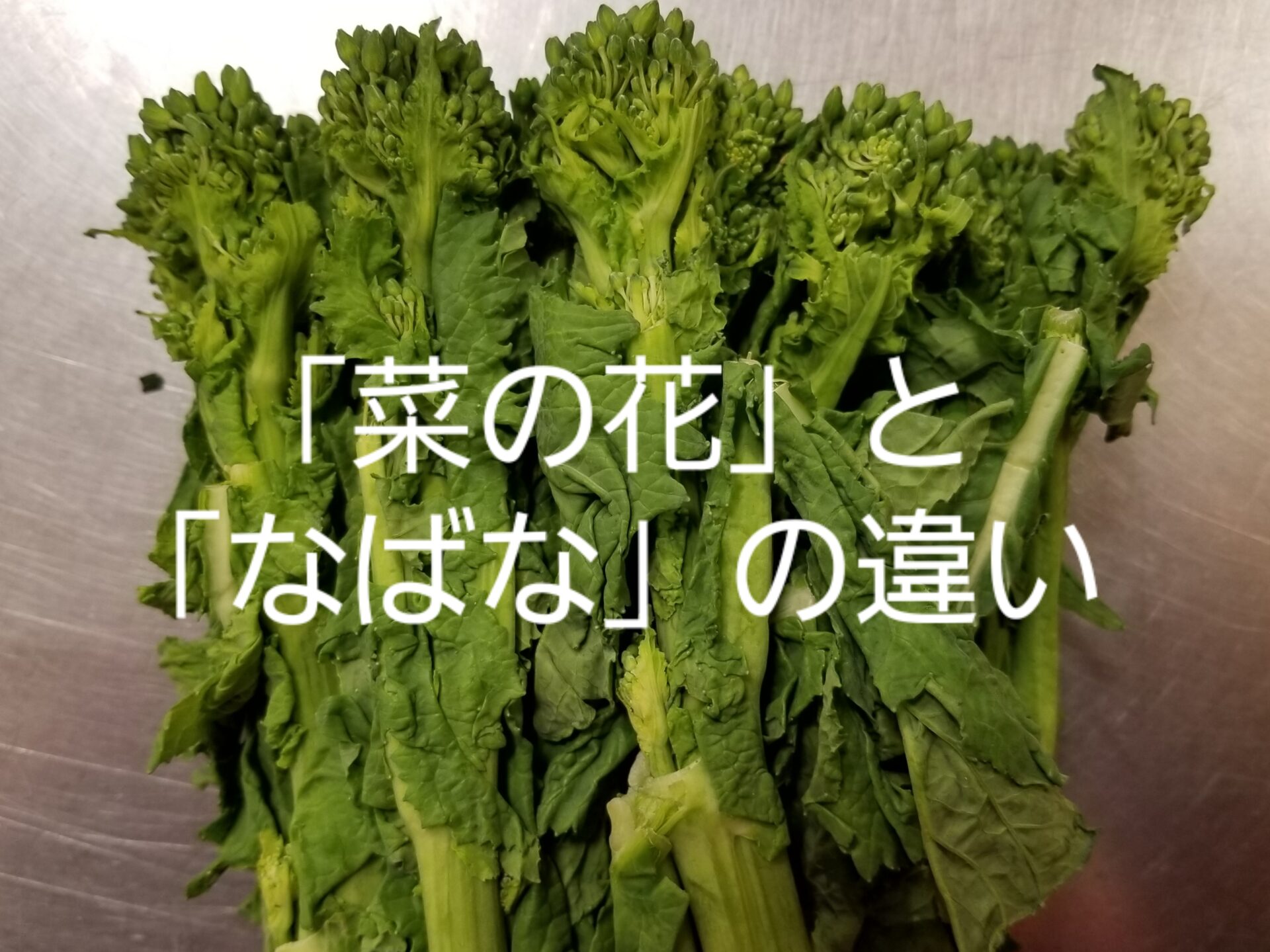 なばな 和種洋種違い _ 白菜なばなとは – SNERO