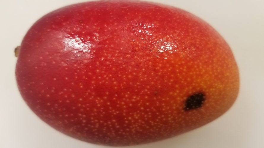 マンゴーの皮の黒い斑点、原因は何?/食べても大丈夫?
