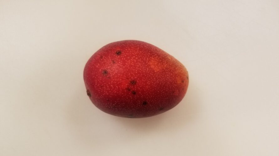 【写真付きで解説】マンゴーの皮の黒い斑点、原因や正体は何?/食べても大丈夫?