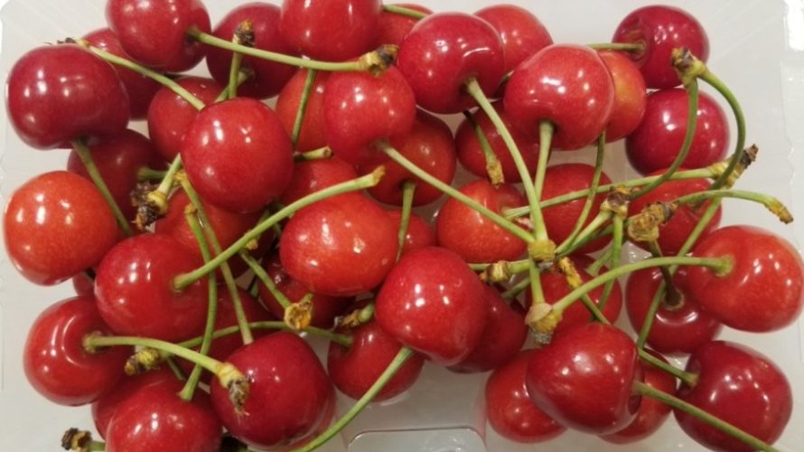 【紅さやか(さくらんぼ)】品種の特徴/味の感想などわかりやすく解説