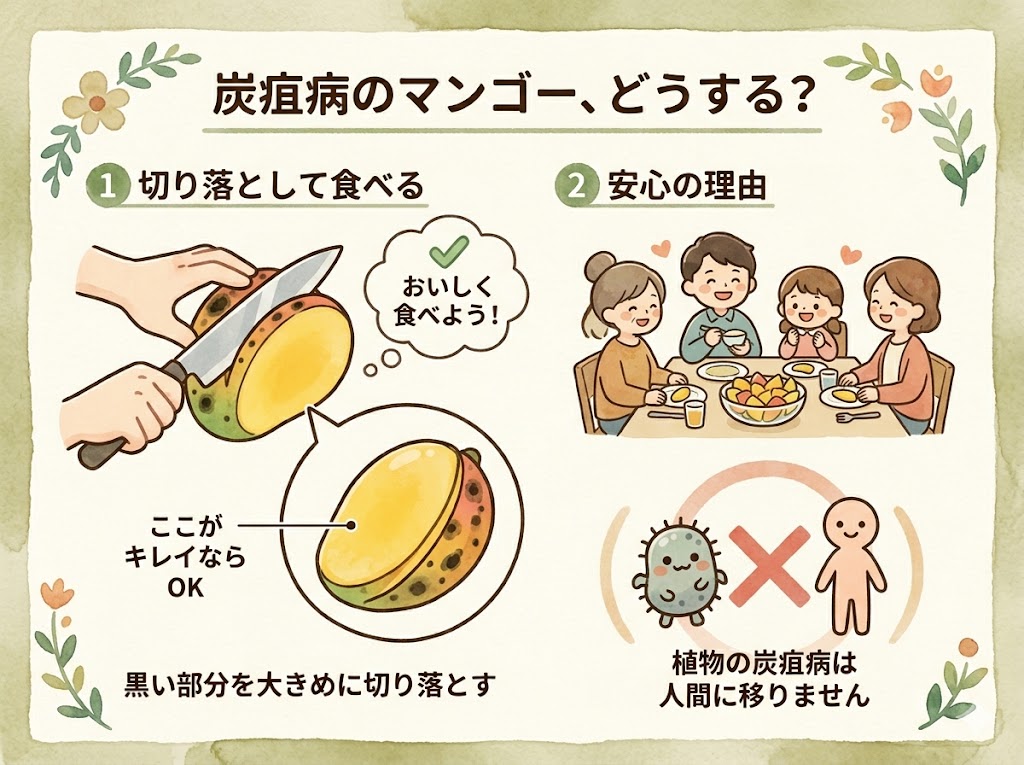 皮に黒い斑点のあるマンゴーは食べても大丈夫？