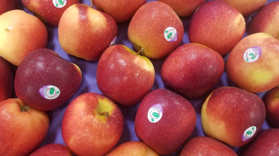 【NZ Queen(Scired)】ニュージーランド産パシフィッククイーンりんごの特徴