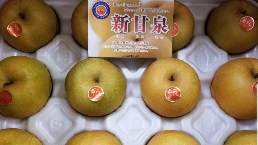 【人気No.1】新甘泉(梨)の特徴!/名前の通り:新しい甘さ溢れる泉のような梨