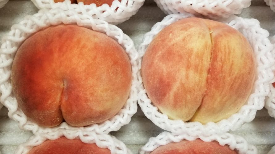 幸茜(さちあかね)ってどんな品種の桃?/特徴と食べてみた感想