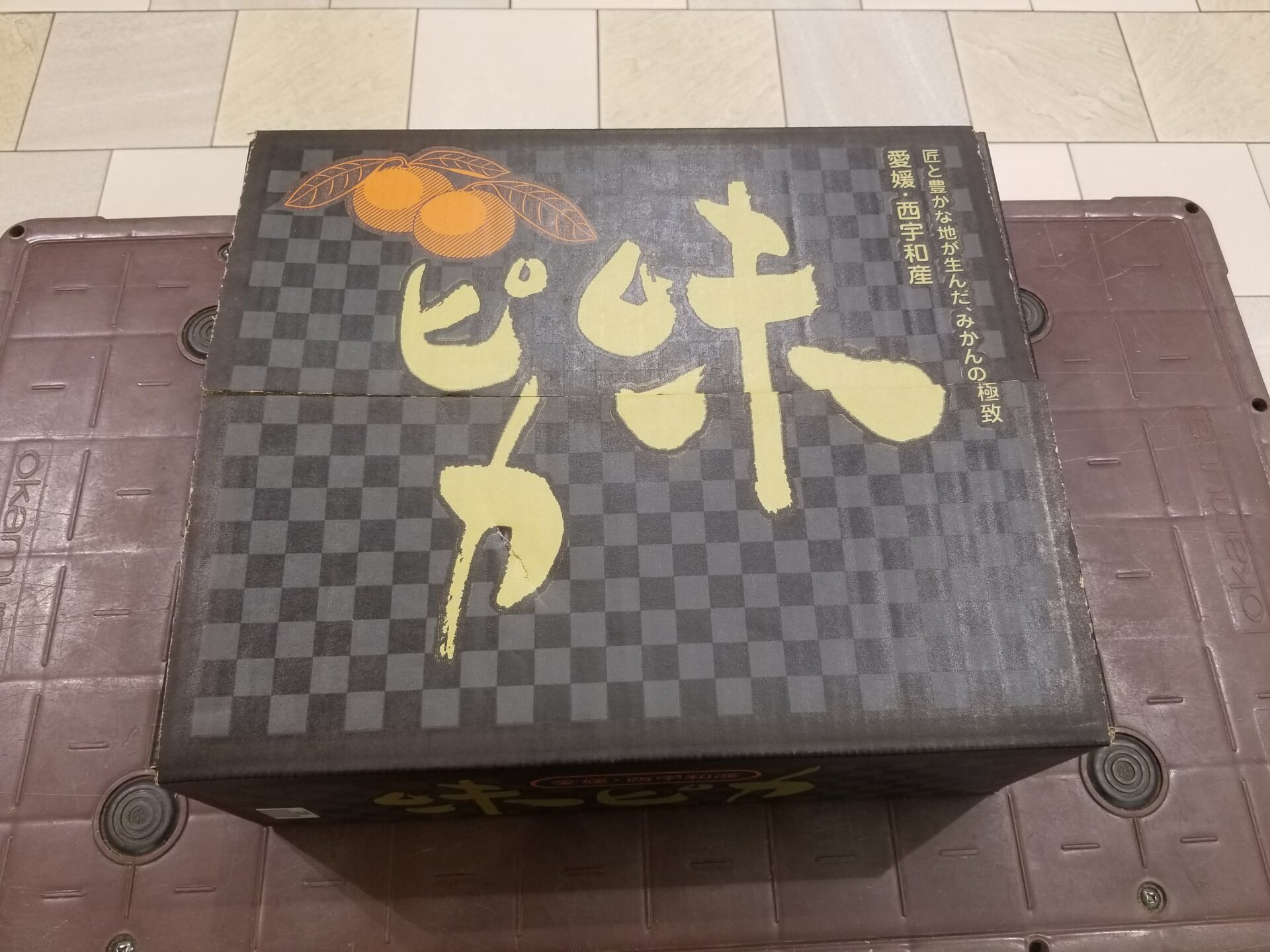 愛媛県産 味ピカみかん 化粧箱