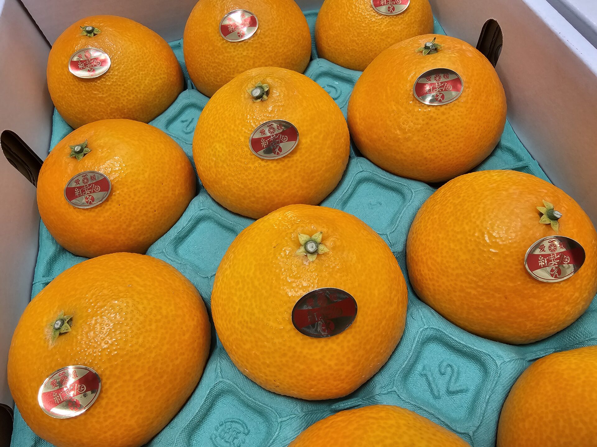 紅まどんなシール