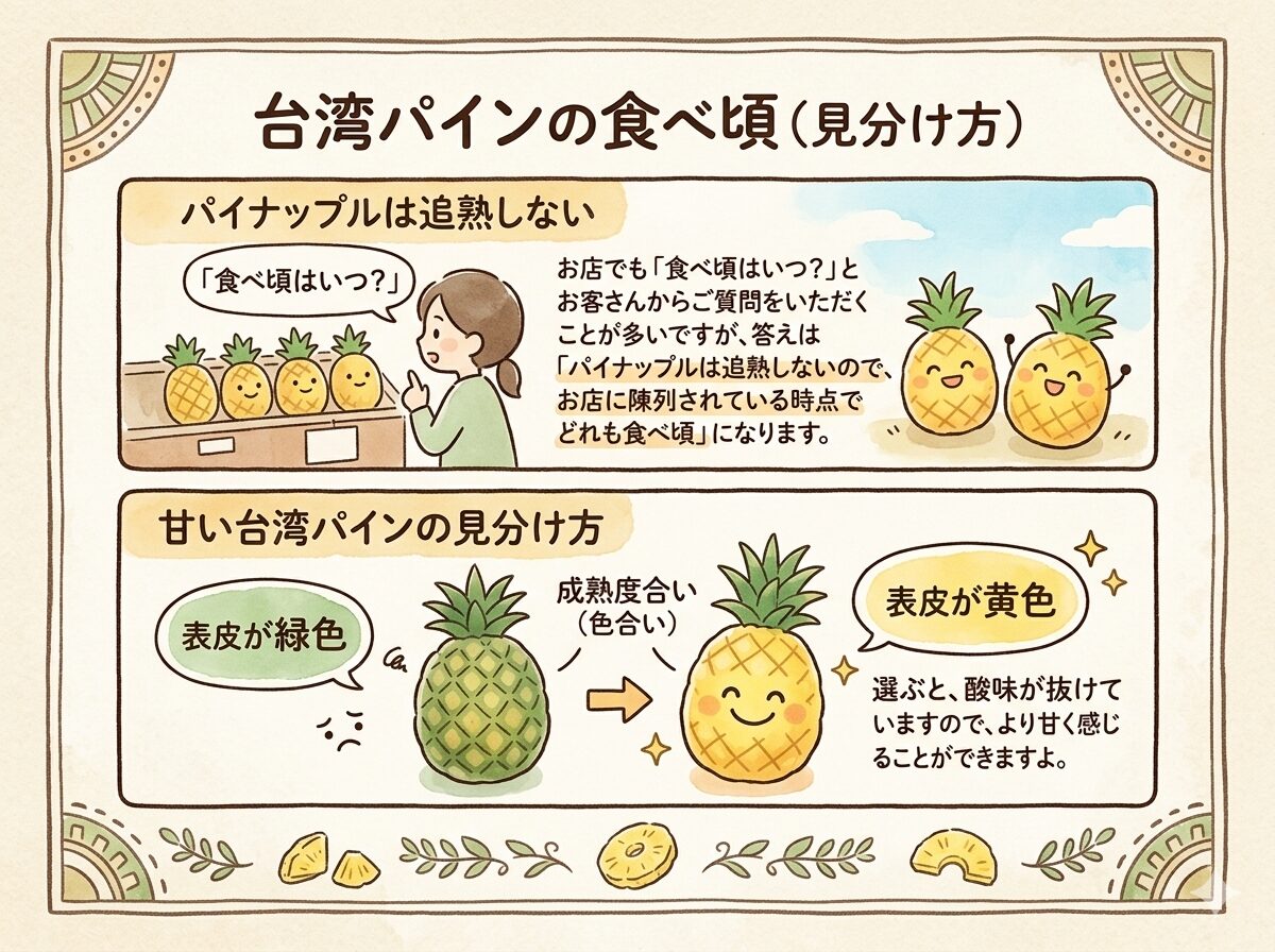 台湾パインの食べ頃（見分け方）
