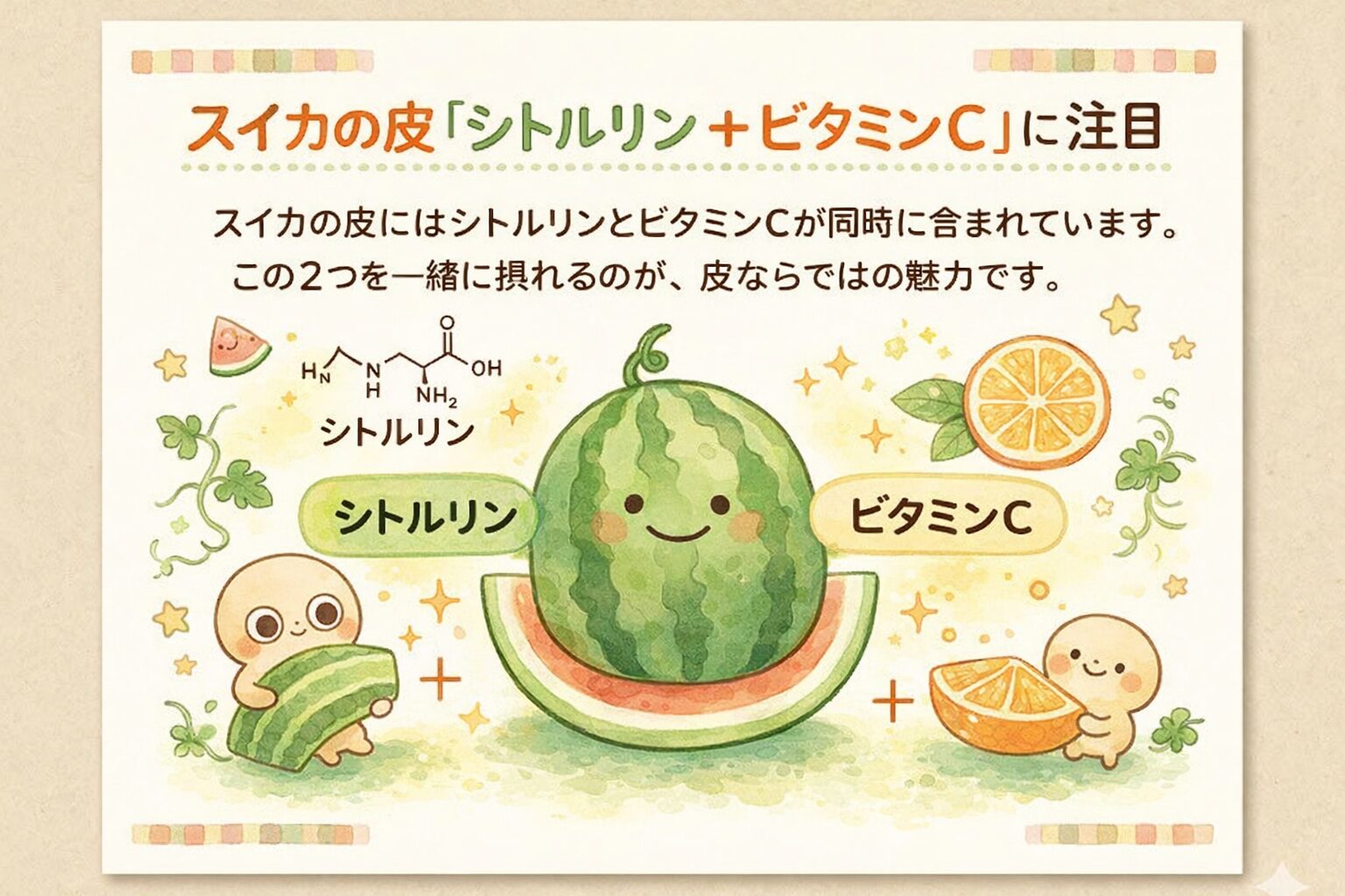 スイカの皮「シトルリン＋ビタミンC」の組み合わせに注目<