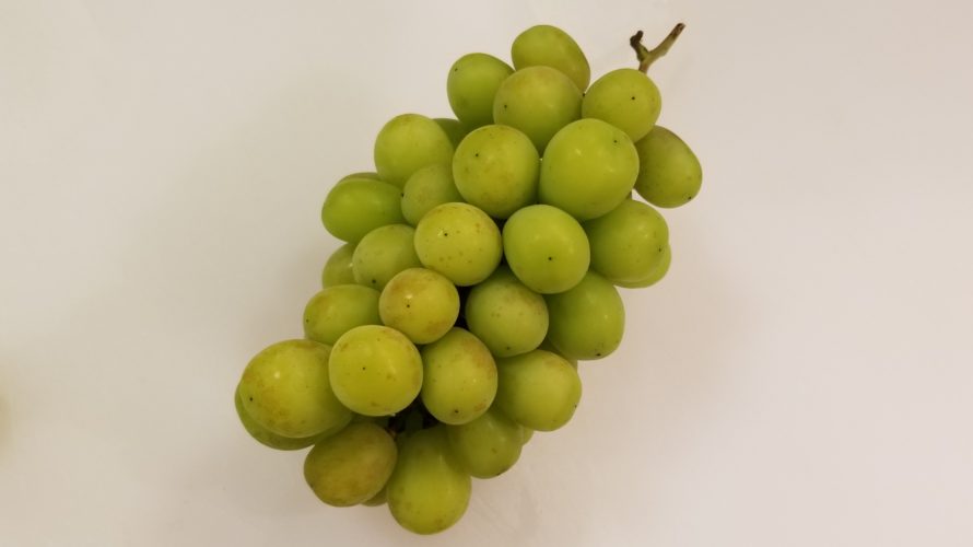 シャインマスカットの皮に茶色のシミ/原因は?/食べても大丈夫?