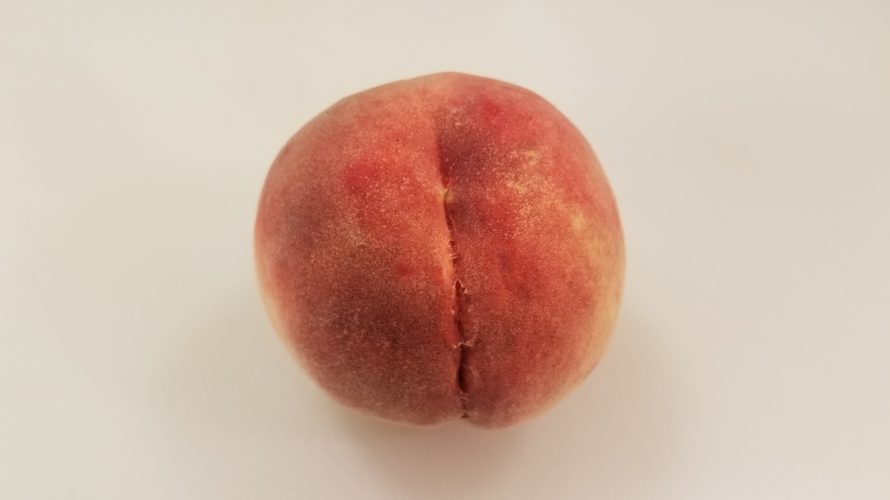 さくら白桃の特徴 / どんな味? 果肉の硬さは? 日持ちはする? 贈り物にどう?
