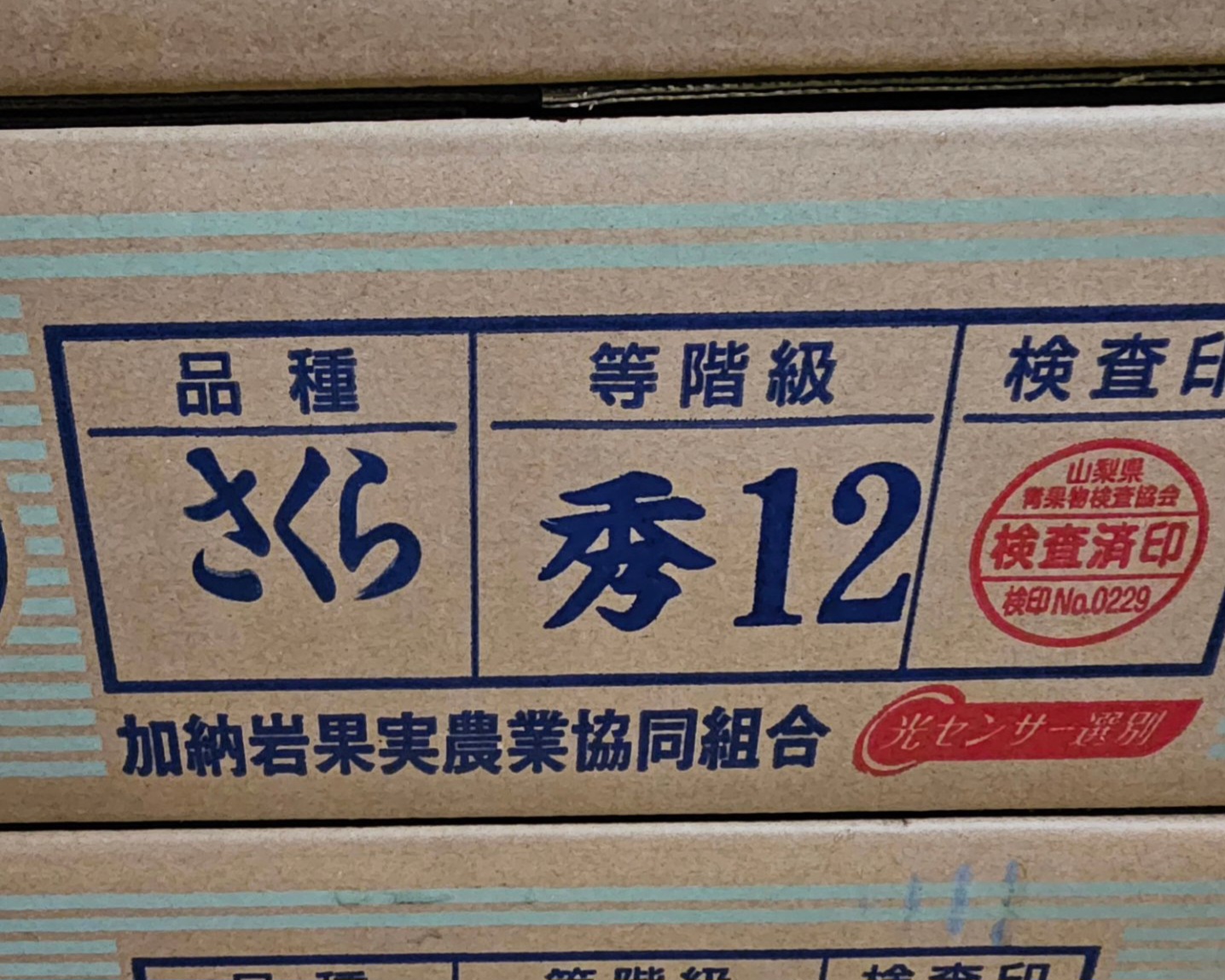 さくら白桃の特徴｜どんな味？ 果肉の硬さは？ 日持ちはする？