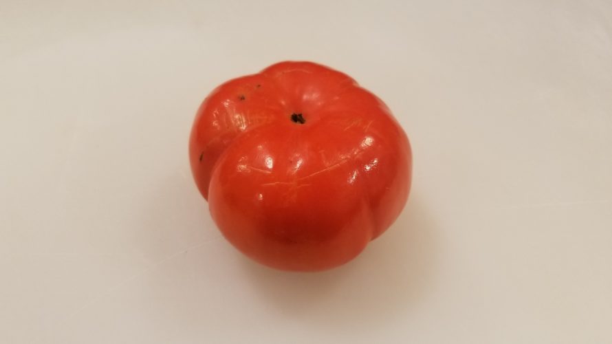 早秋柿の特徴/味は?種あり?食べ方は?時期は?/糖度計測画像あり