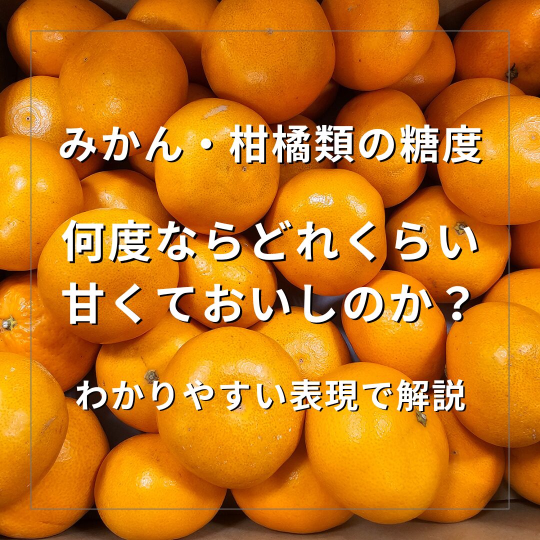 みかん・柑橘類の糖度の目安をわかりやすい表現で解説