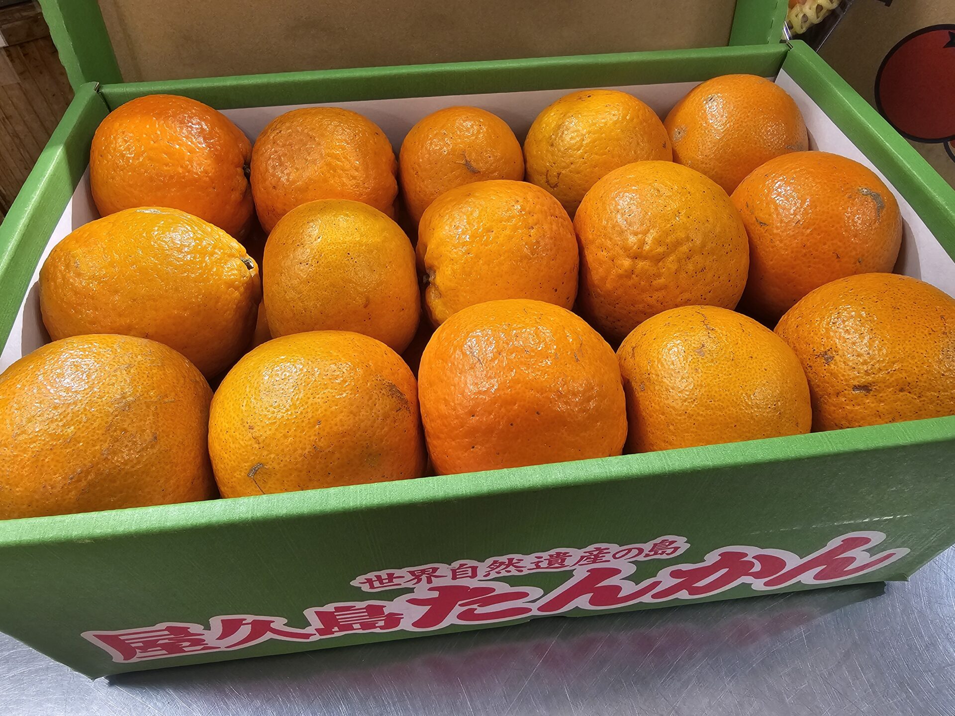 屋久島たんかん