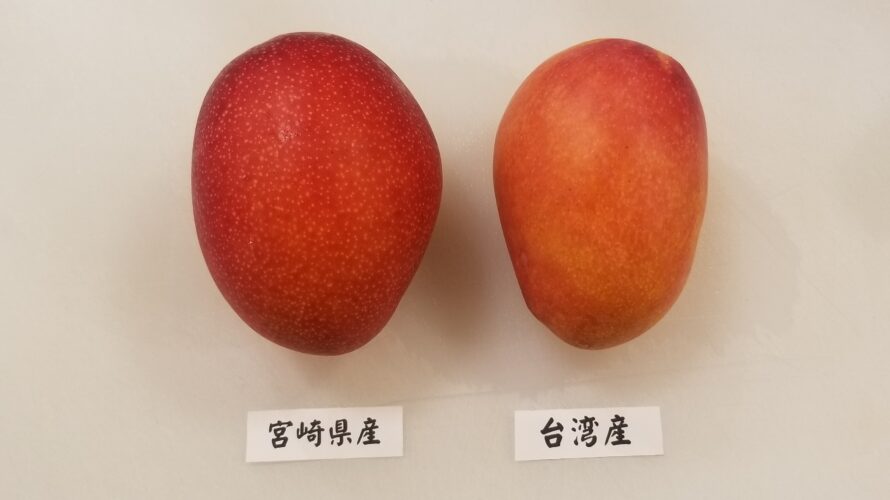 宮崎マンゴーと台湾マンゴーの違いは? 味はどっちが甘くて美味しい?