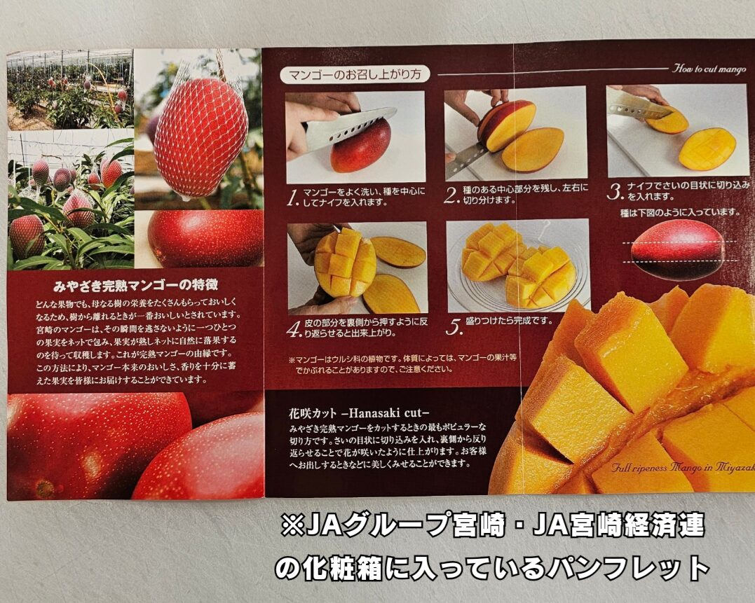 みやざきマンゴーが安定して美味しい理由（JAグループ宮崎・JA宮崎経済連のパンフレット）