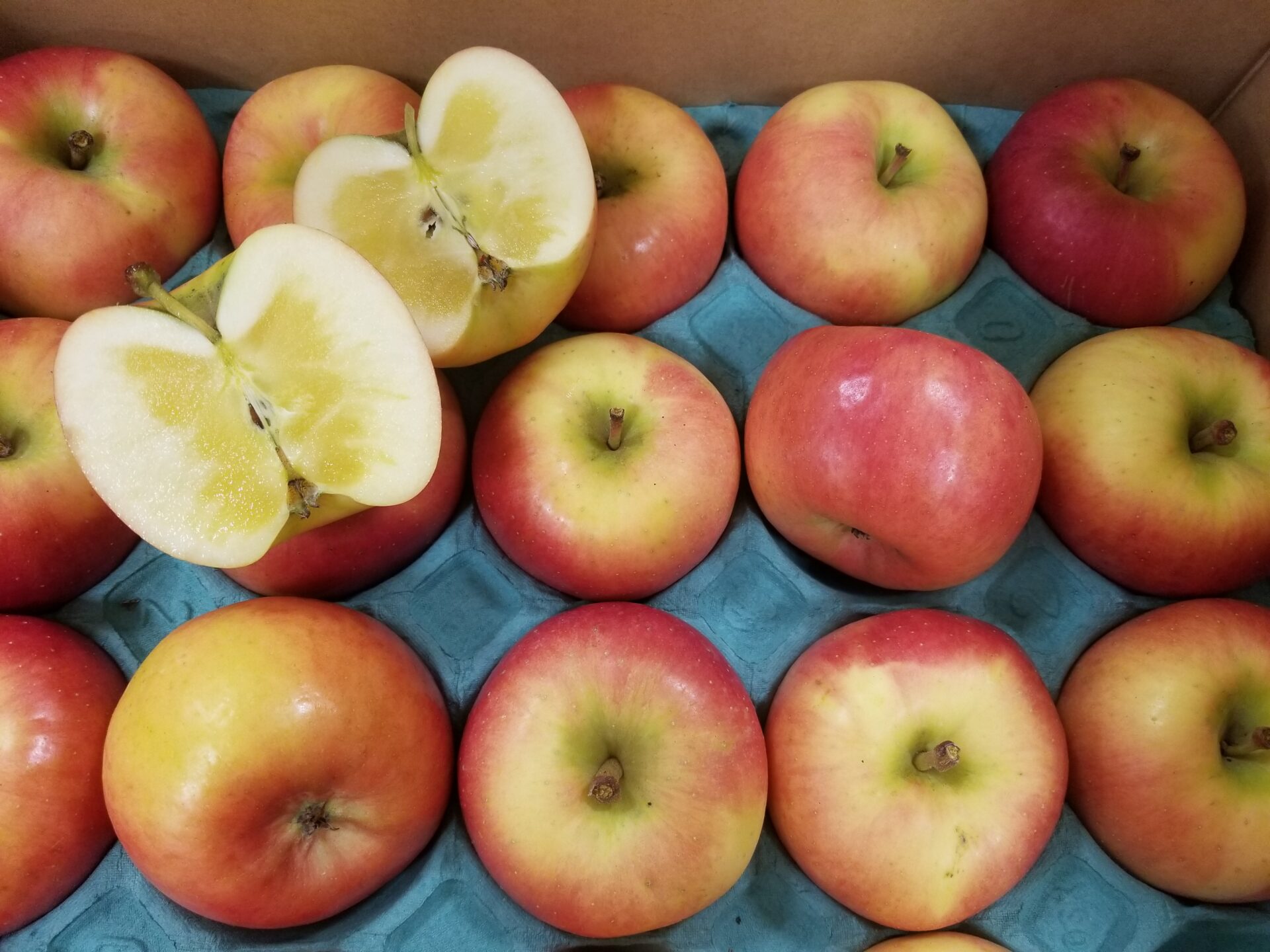 “蜜入り”りんごの簡単な見分け方