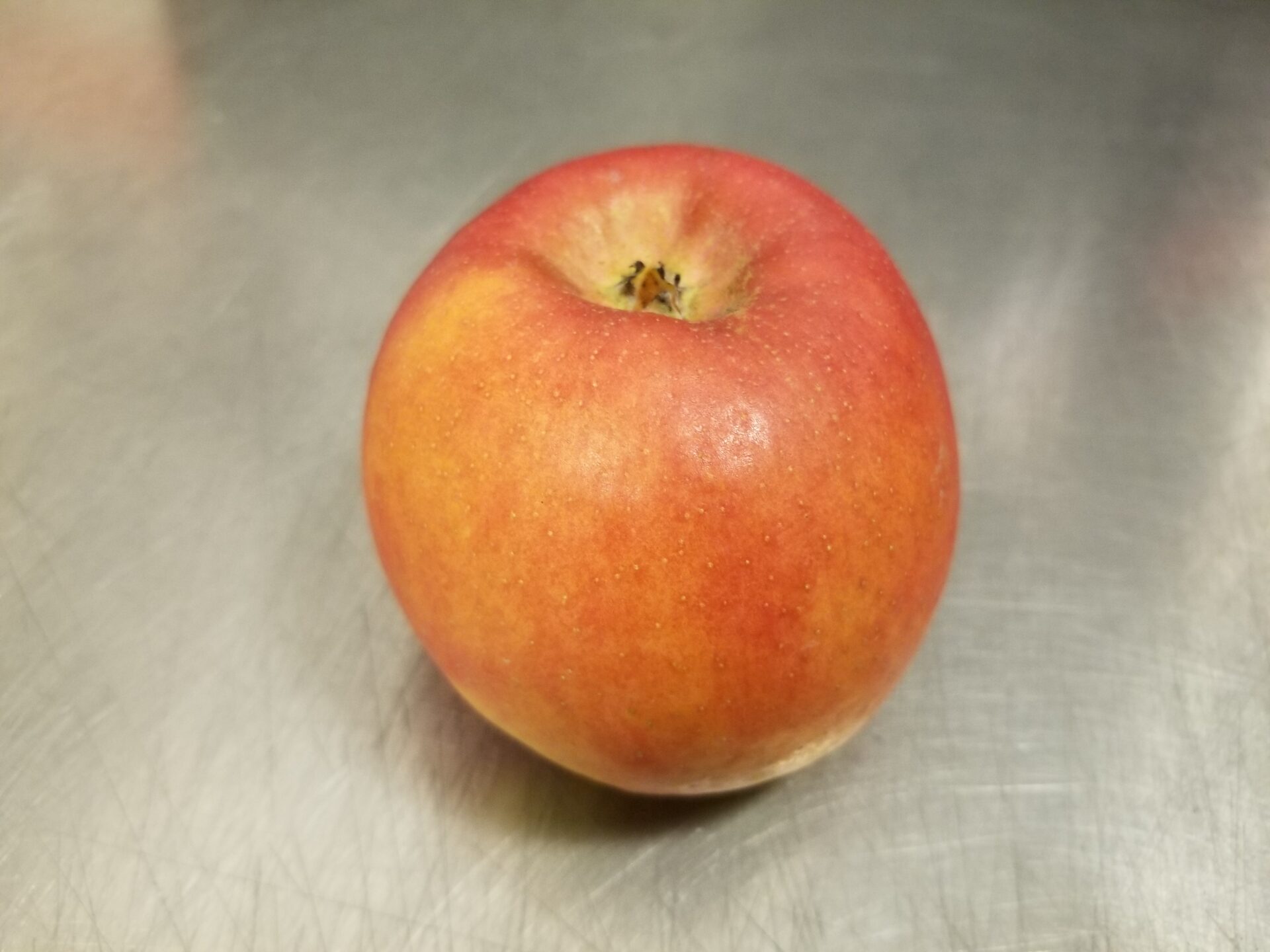 蜜入りりんごの特徴 お尻の形と色
