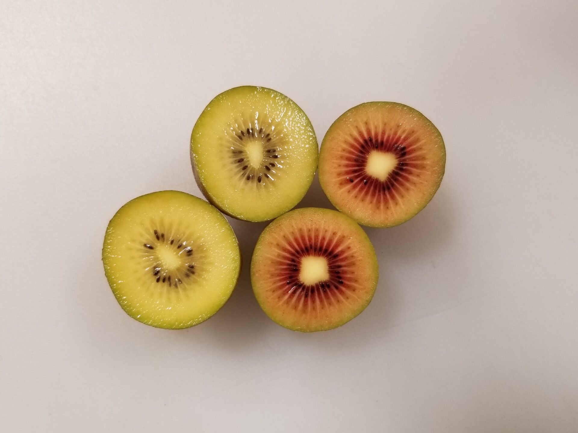 サンゴールドキウイとルビーレッドキウイの果肉の色を比較した写真