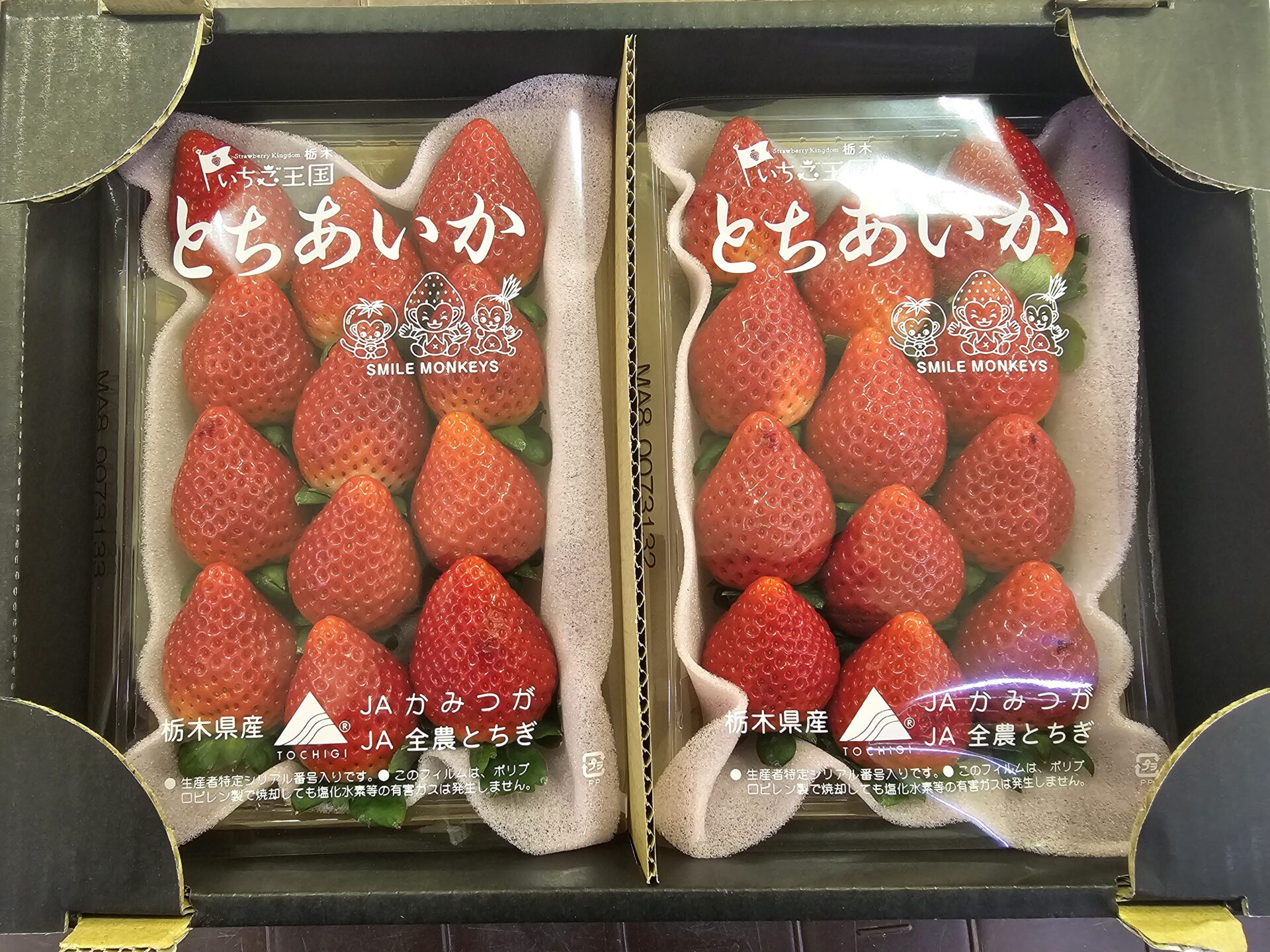 「とちあいか」の特徴を解説｜栃木で誕生した新品種いちごの魅力