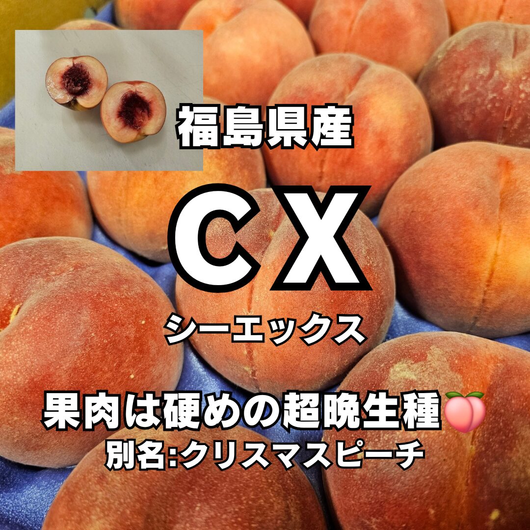 CX（シーエックス）9月下旬～10月に出回る超晩生種の桃