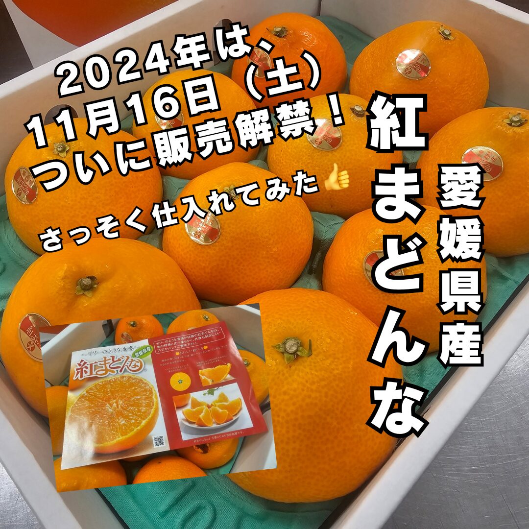 愛媛県産「紅まどんな」2024年は11月16日（土）に販売解禁！