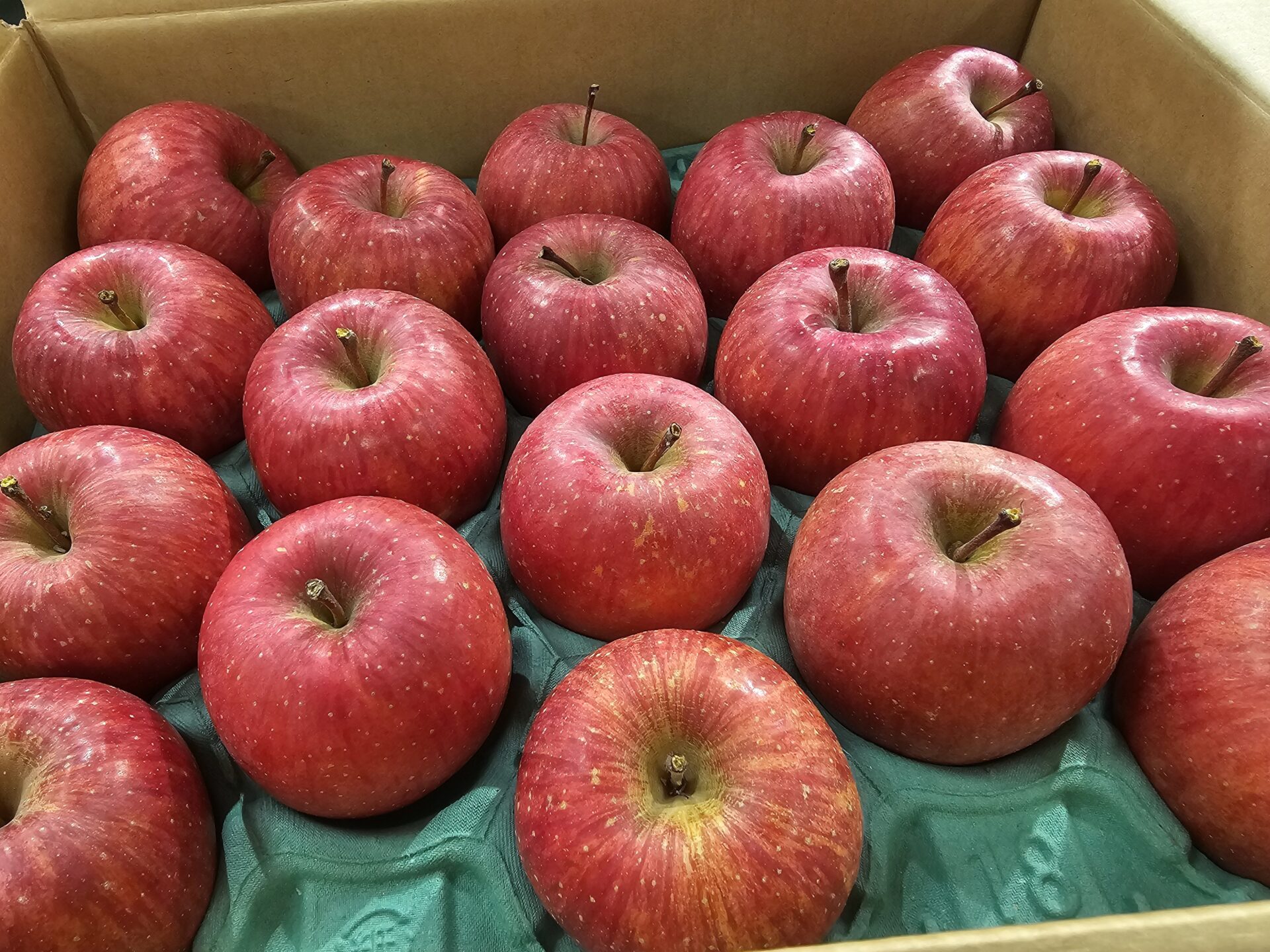 秋田県産サンふじスパーキング