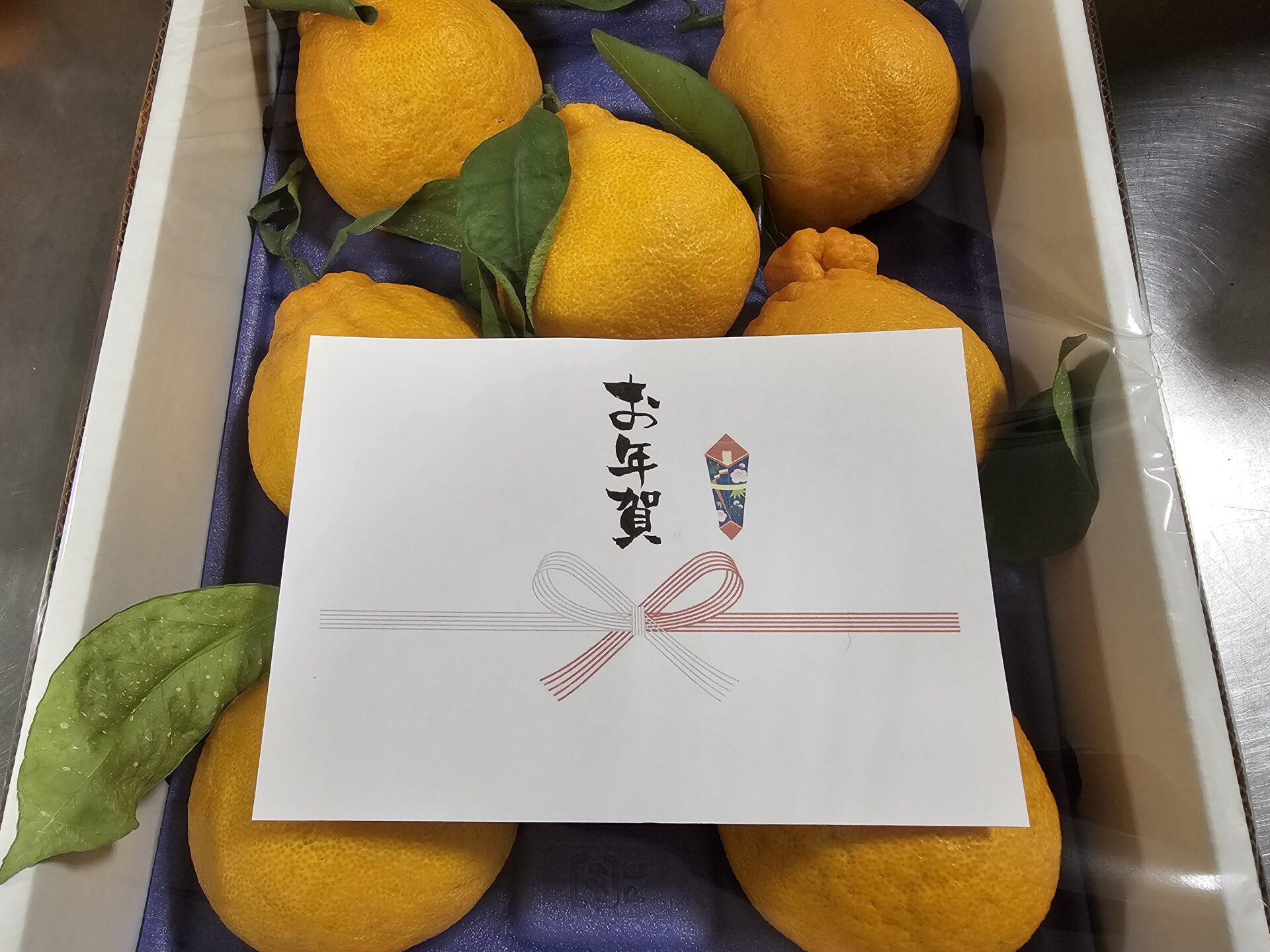 お年賀 柑橘類・温州みかん