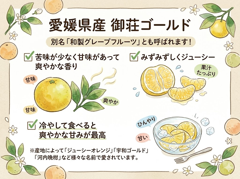 御荘ゴールド（国産グレープフルーツ）