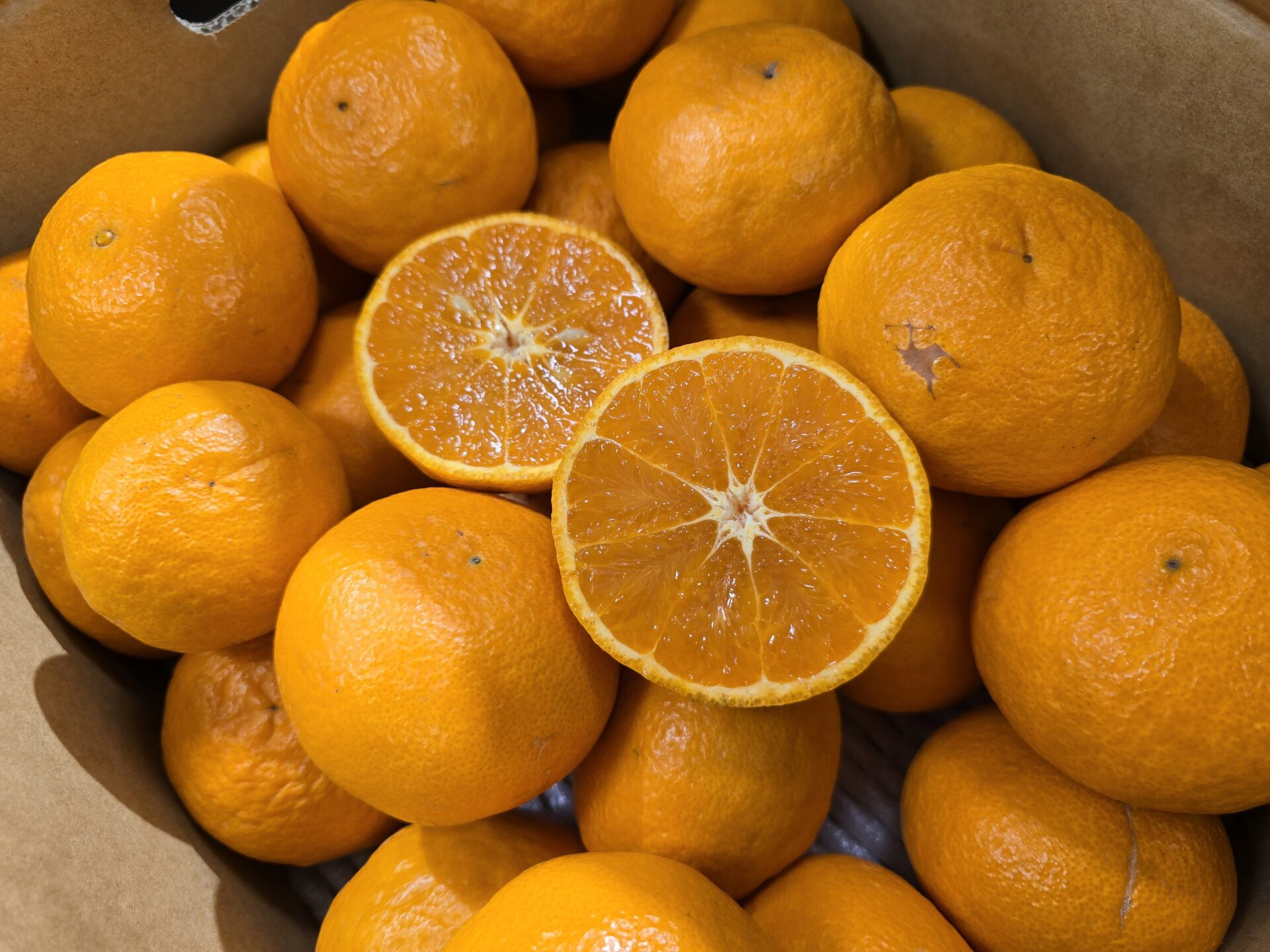 南津海（なつみ）の果肉