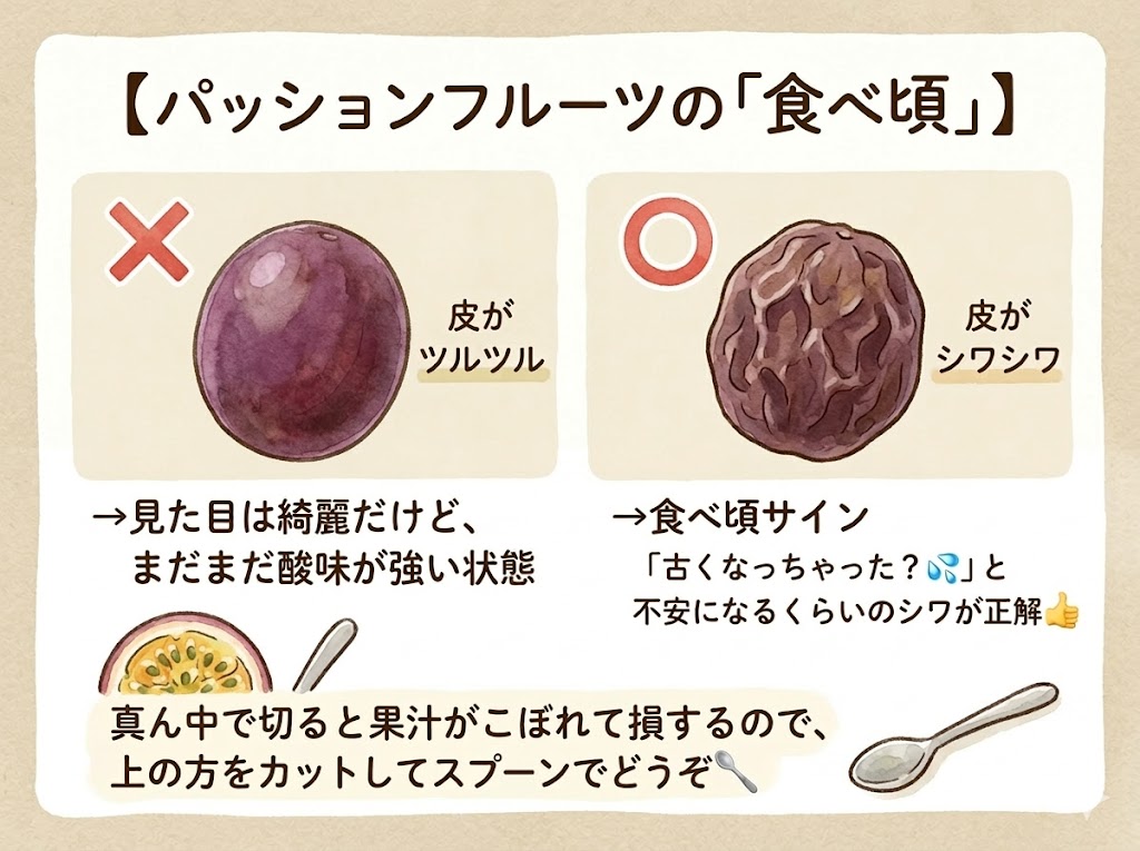 パッションフルーツの「食べ頃」見極め術